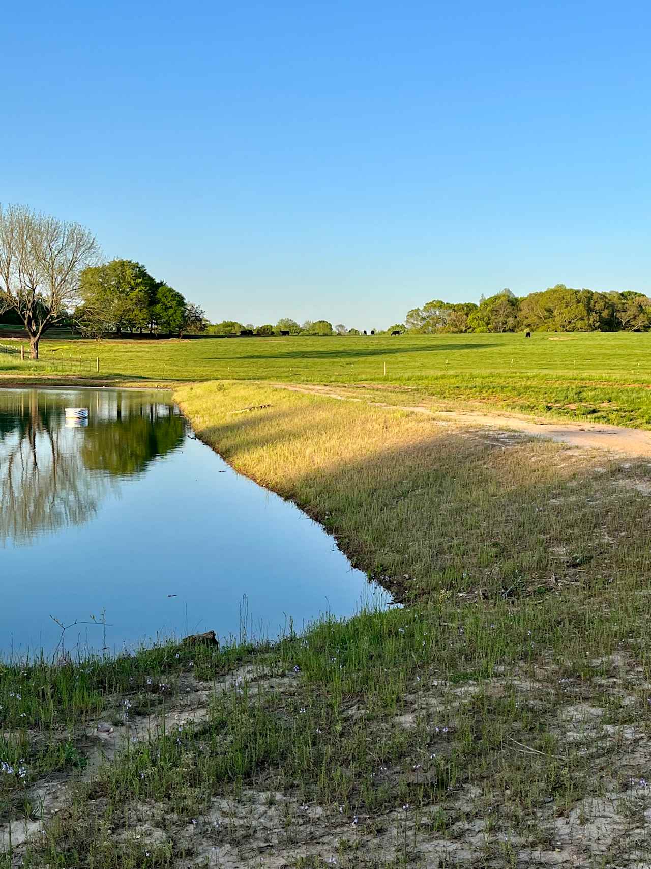 Hanley Family Farm