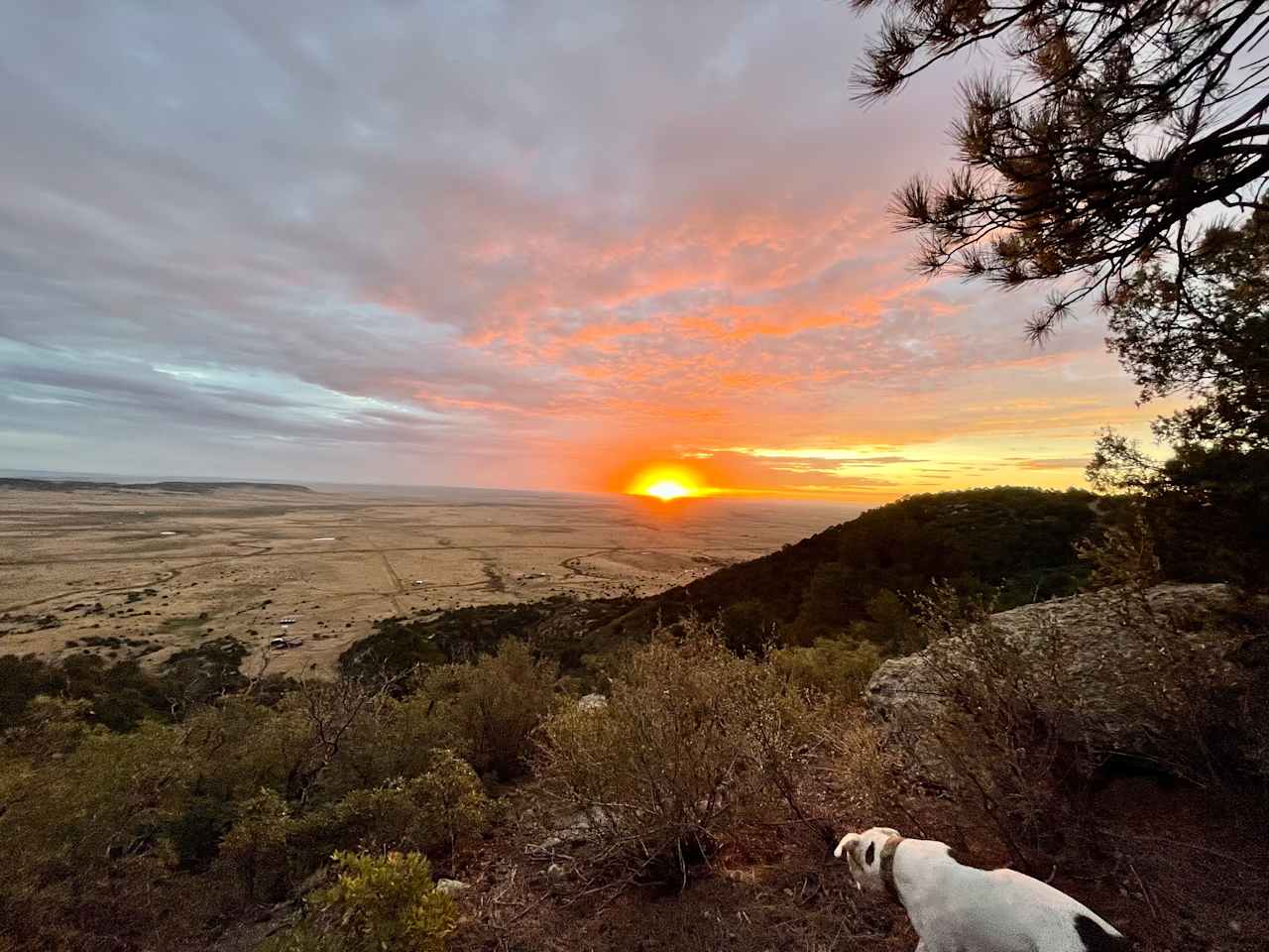 Campsite #2 sunrise