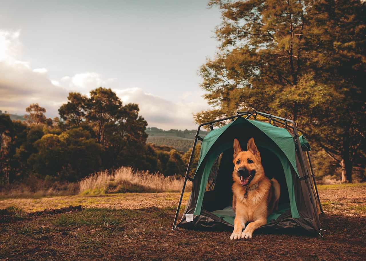 Serenity Hill Camp Grounds