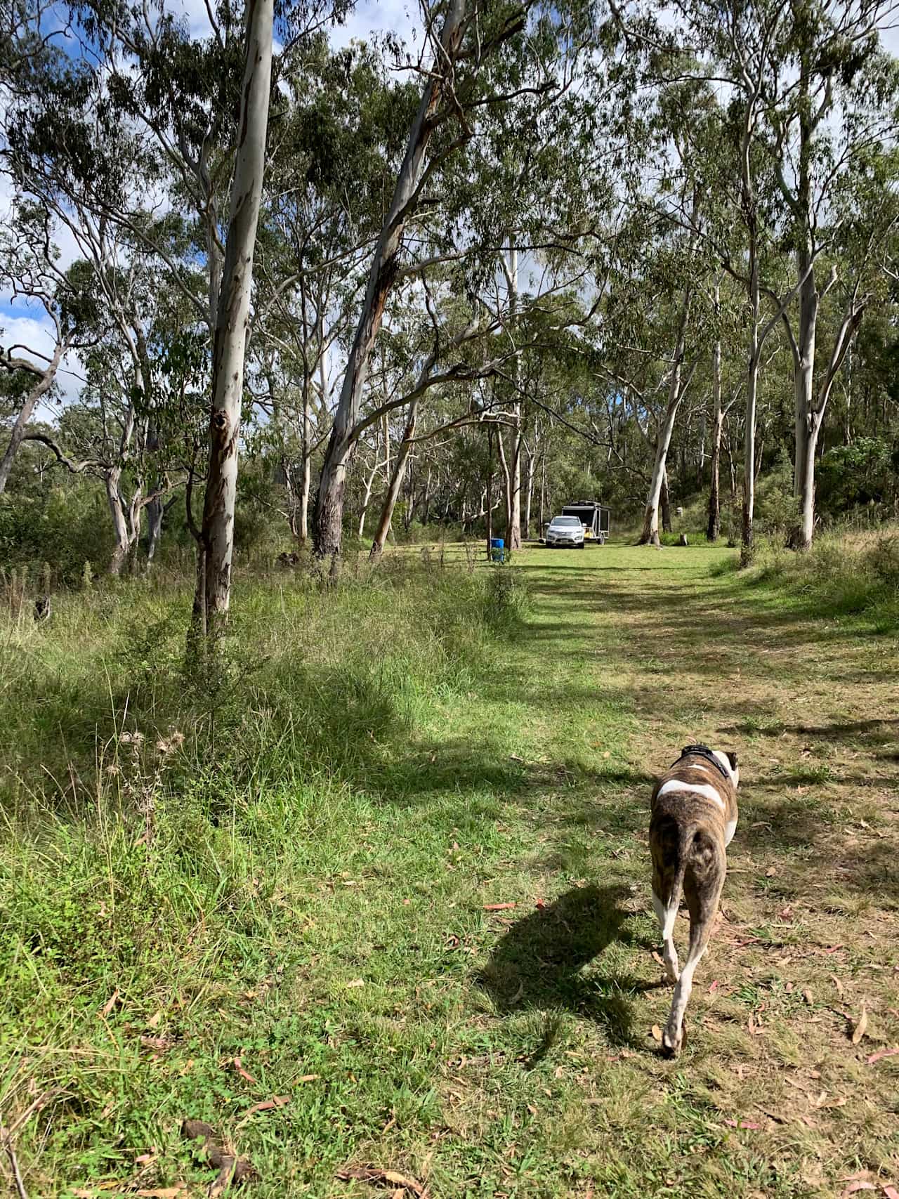Higgins Country Retreat