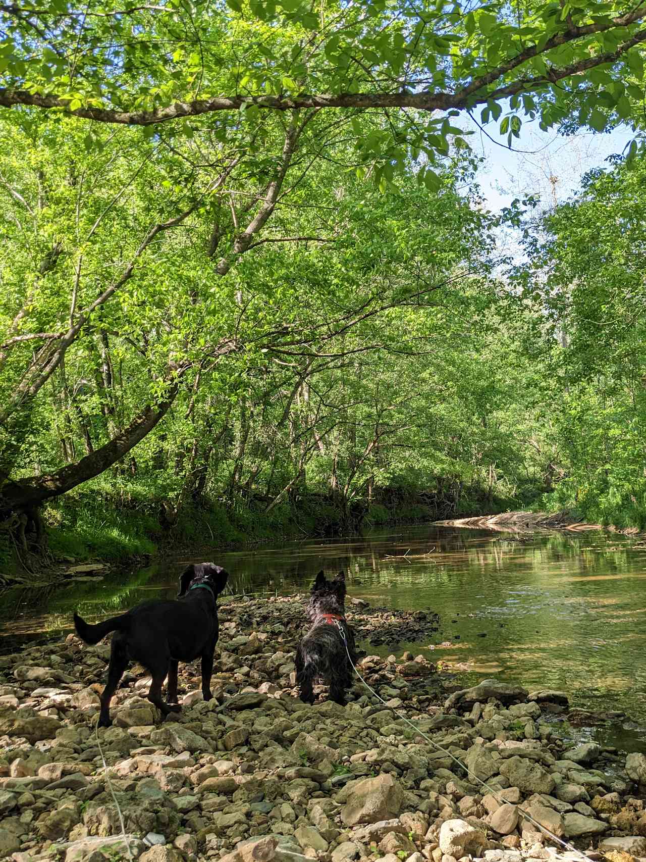 Caney Hollow Creek Retreat