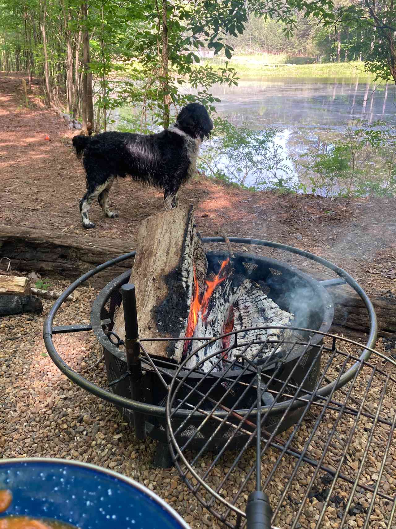 We learned to make fire🔥 Wood provided