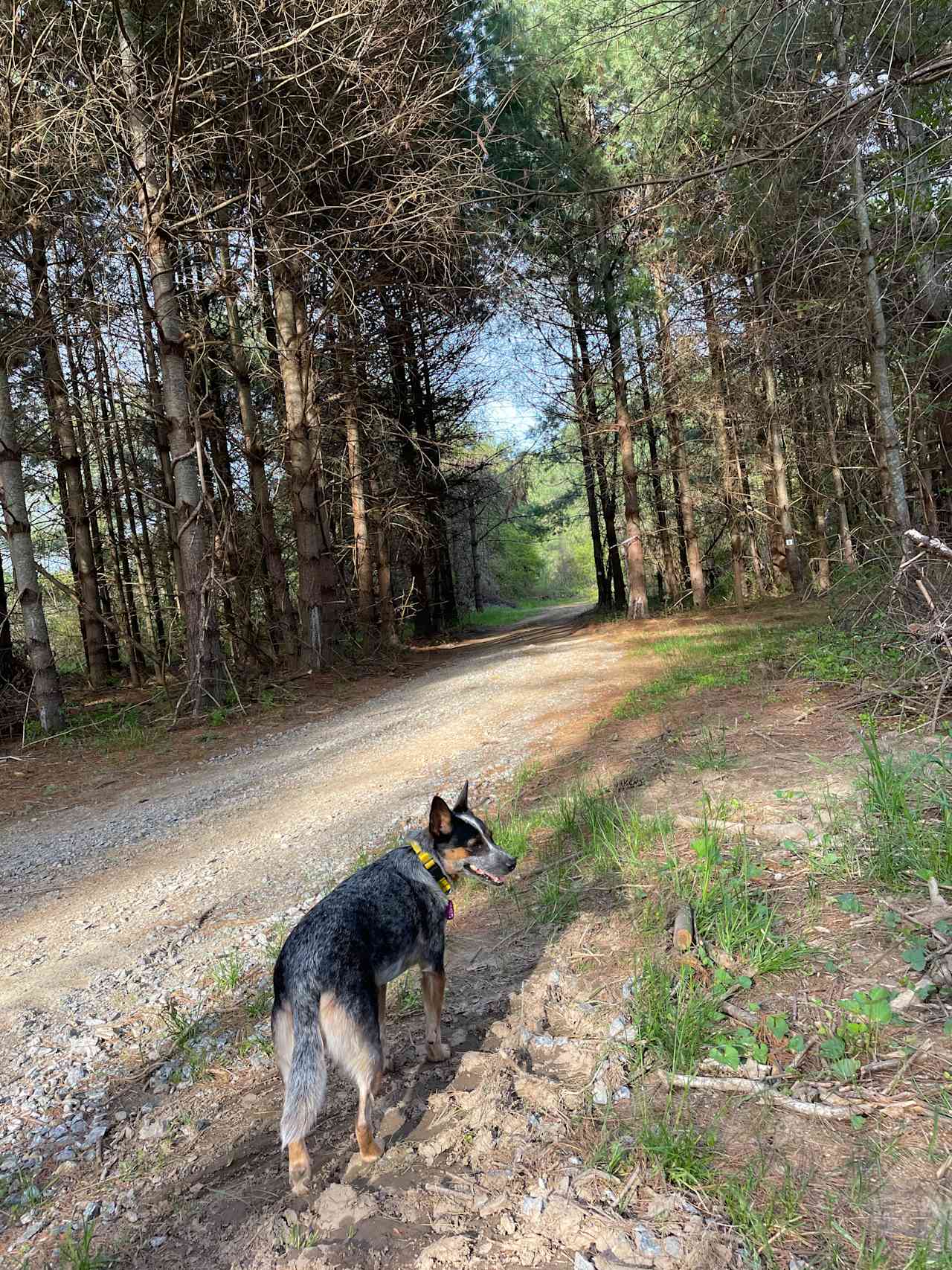 Pisgah Riverbend