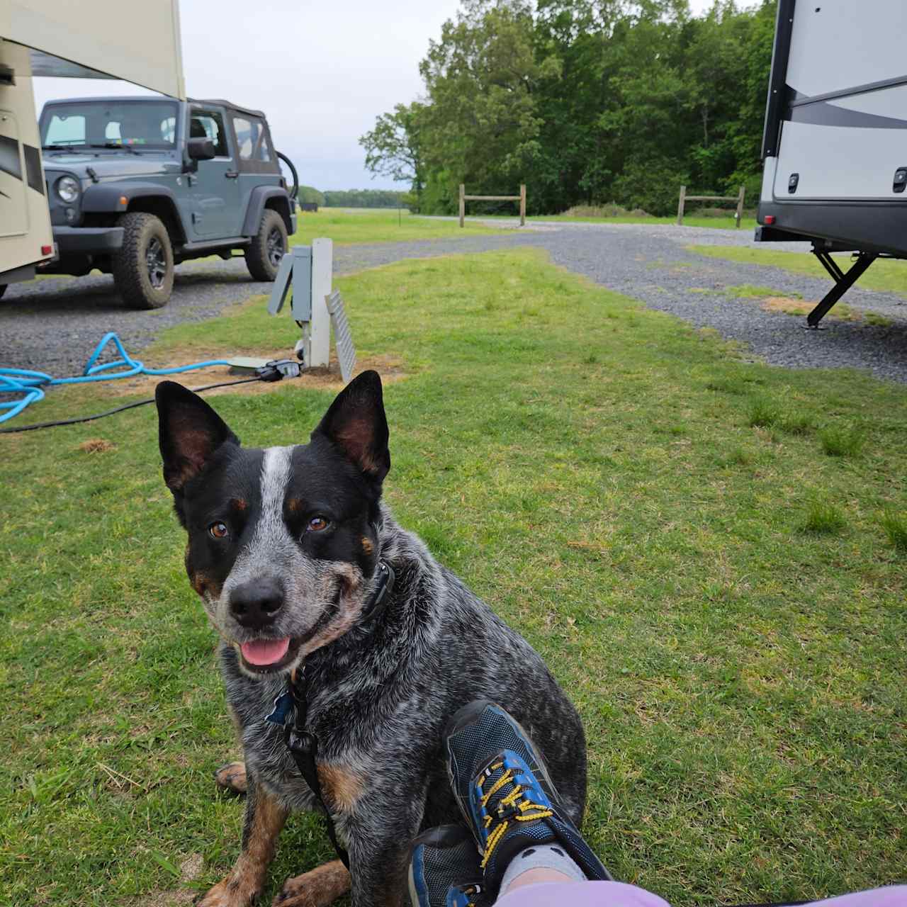 A quiet nights rest at H & G RV