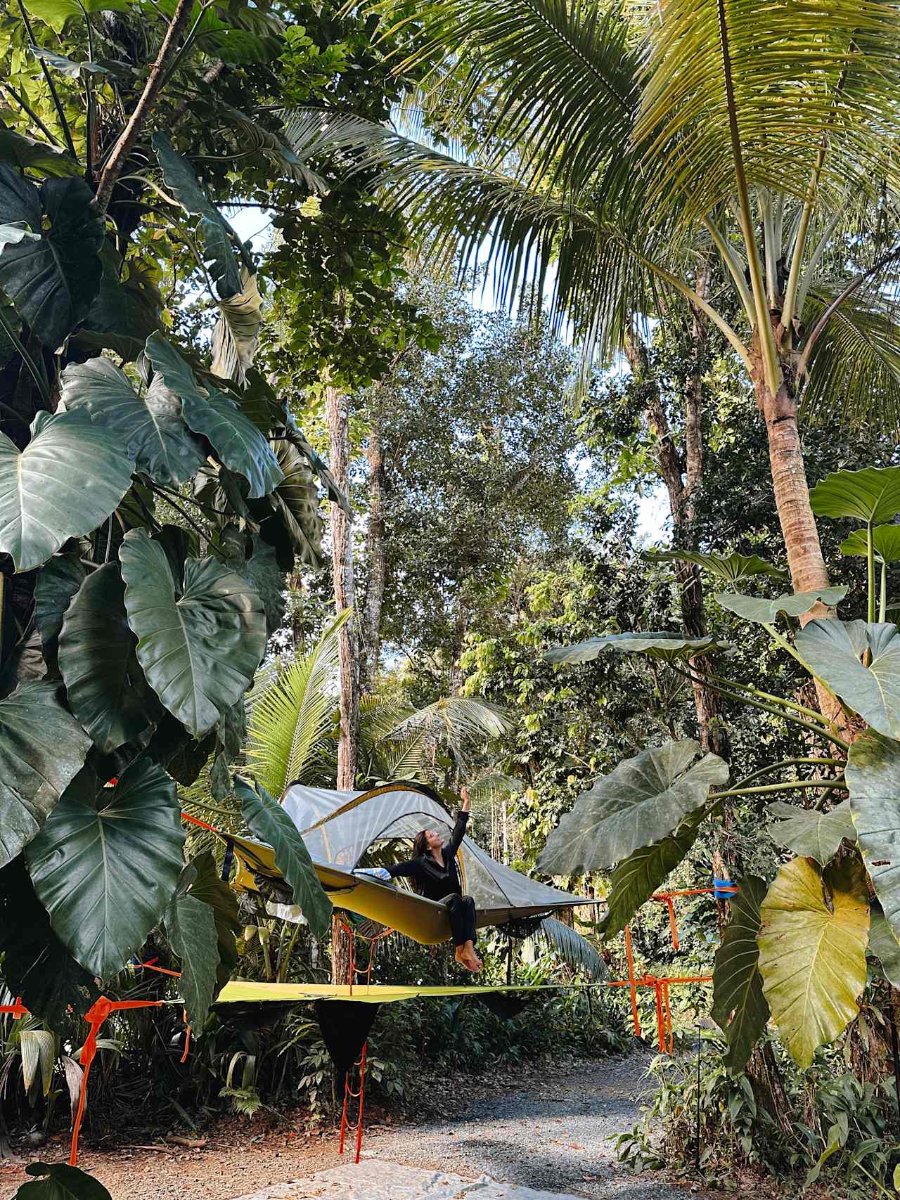 Tree Tent with no tarp.