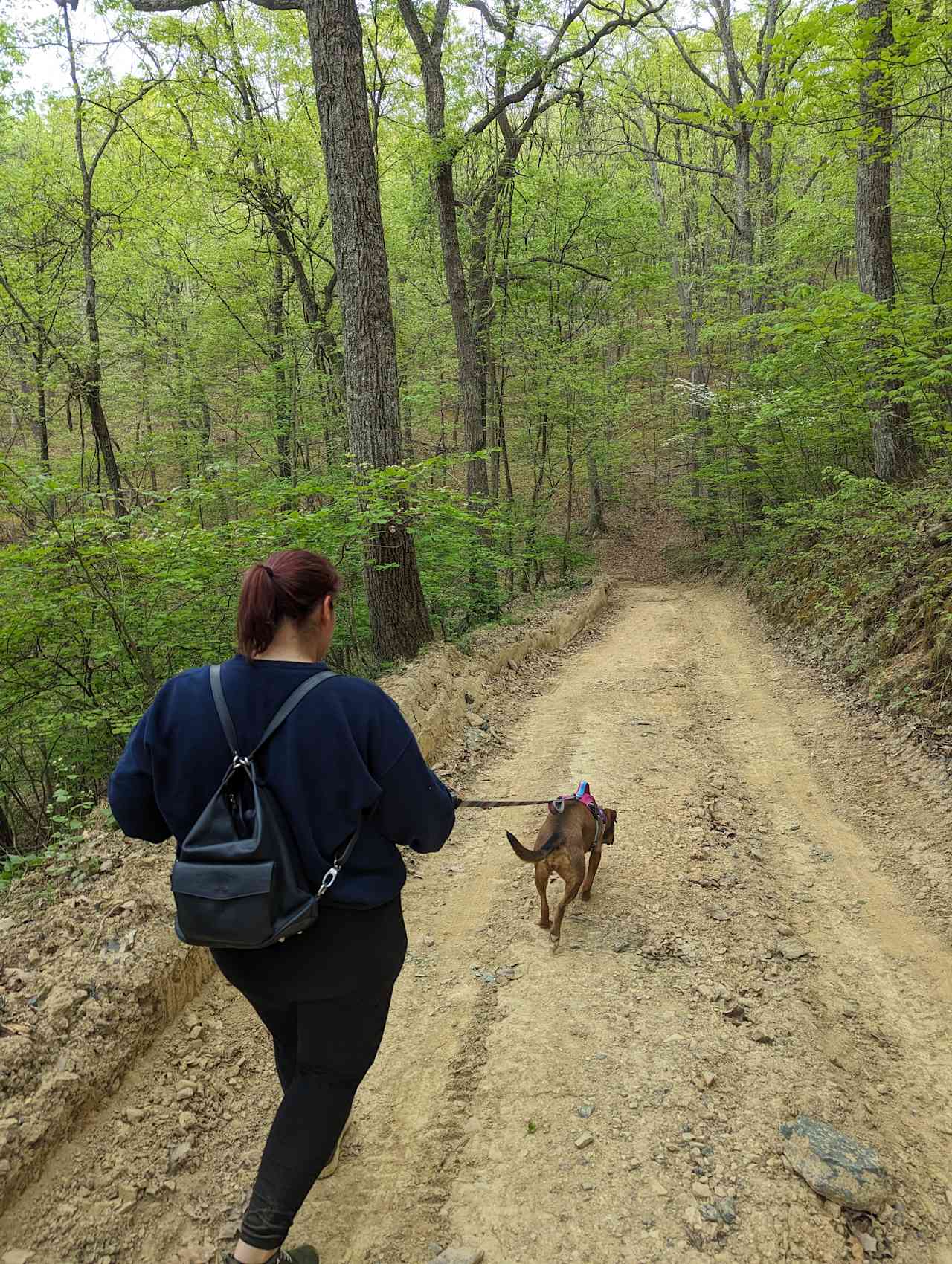 Tunnel Hill Trail