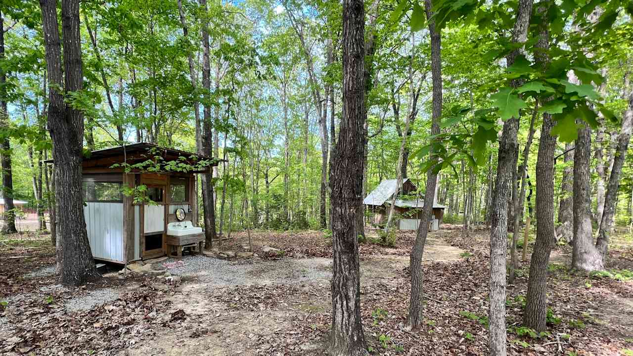 Cabin and Barn on 20 Peaceful Acres