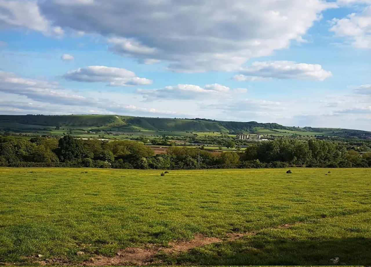 A view of Westbury White Horse Hills from a nearby field