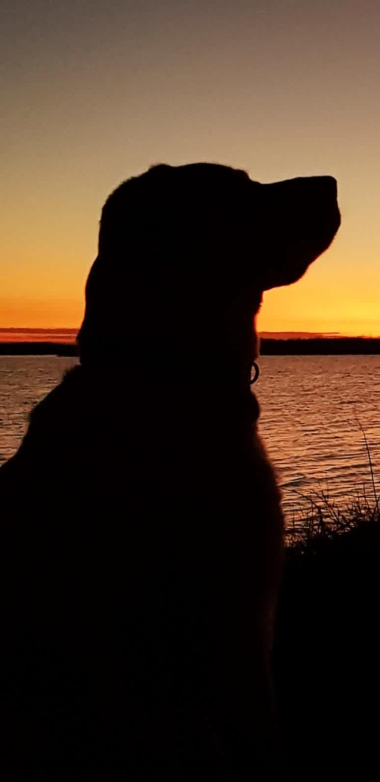 Coorong Island Retreat