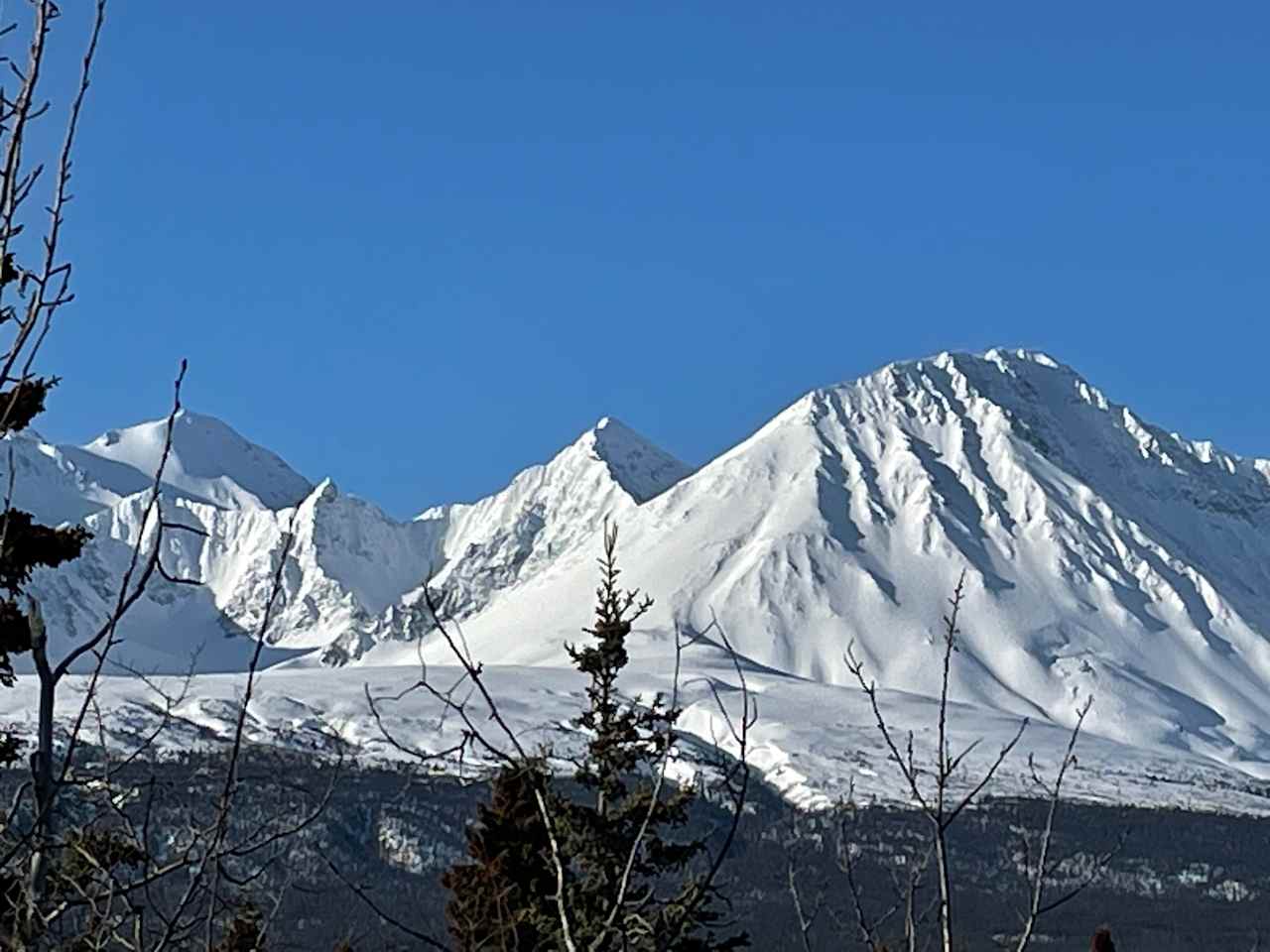 Back deck view. April. No filters. 