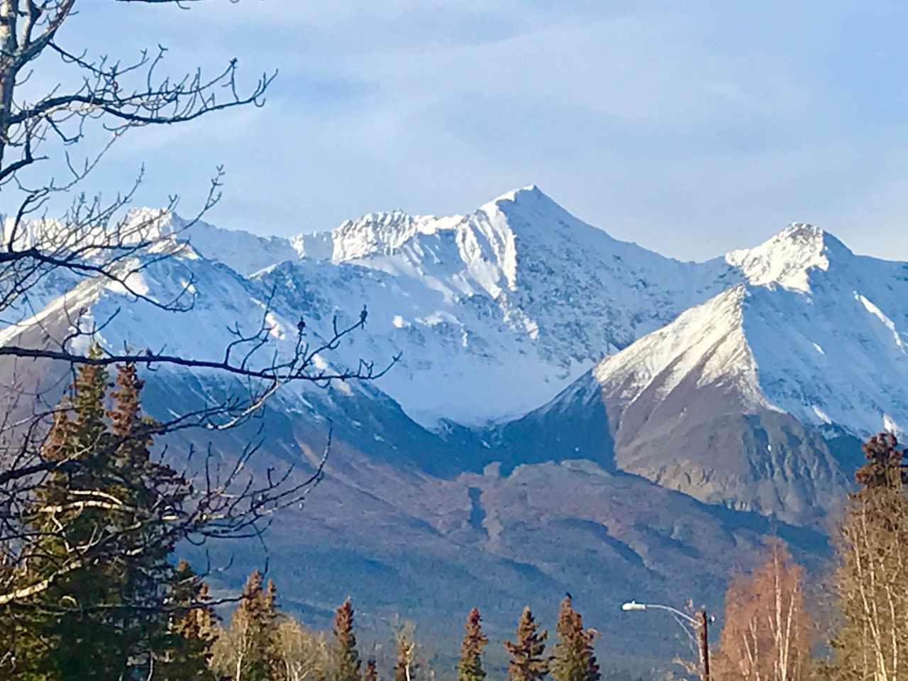 Front yard view. Fall. 