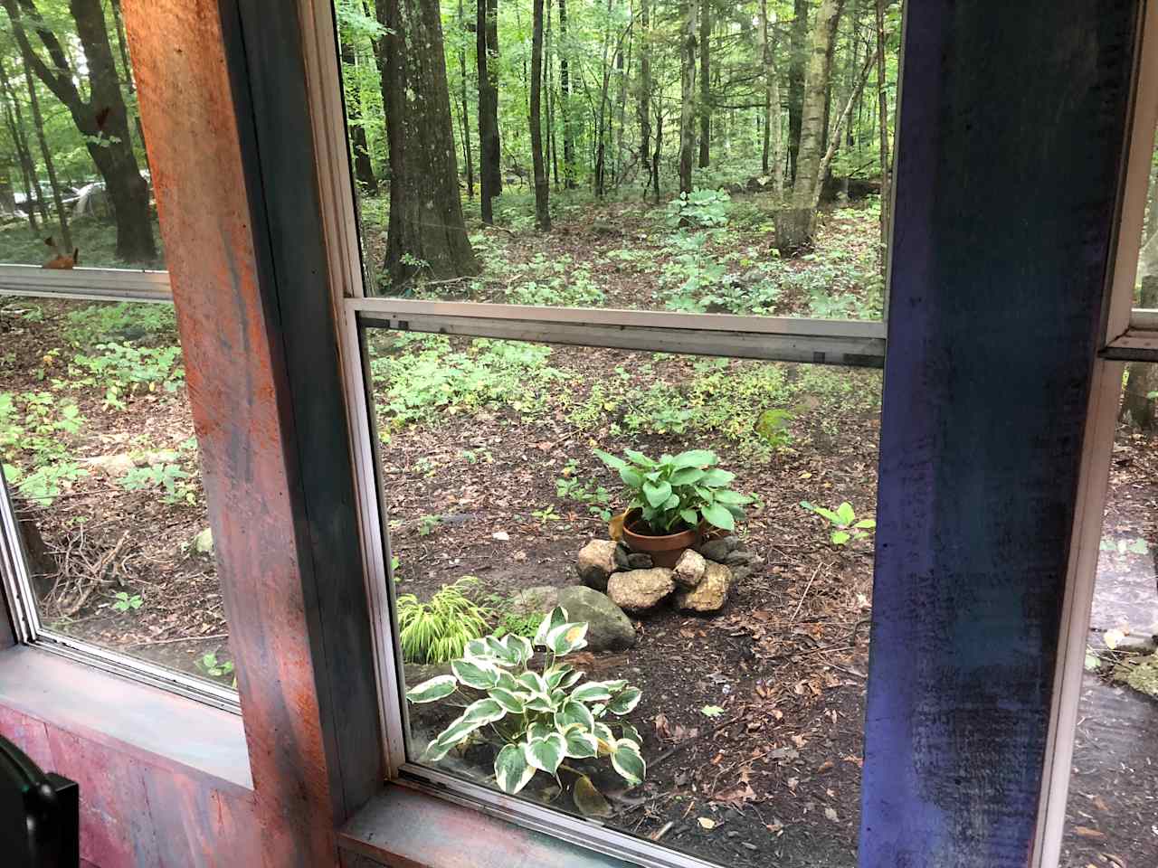 View from downstairs bedroom looks out on  Ai's Dark Garden in progress (!)