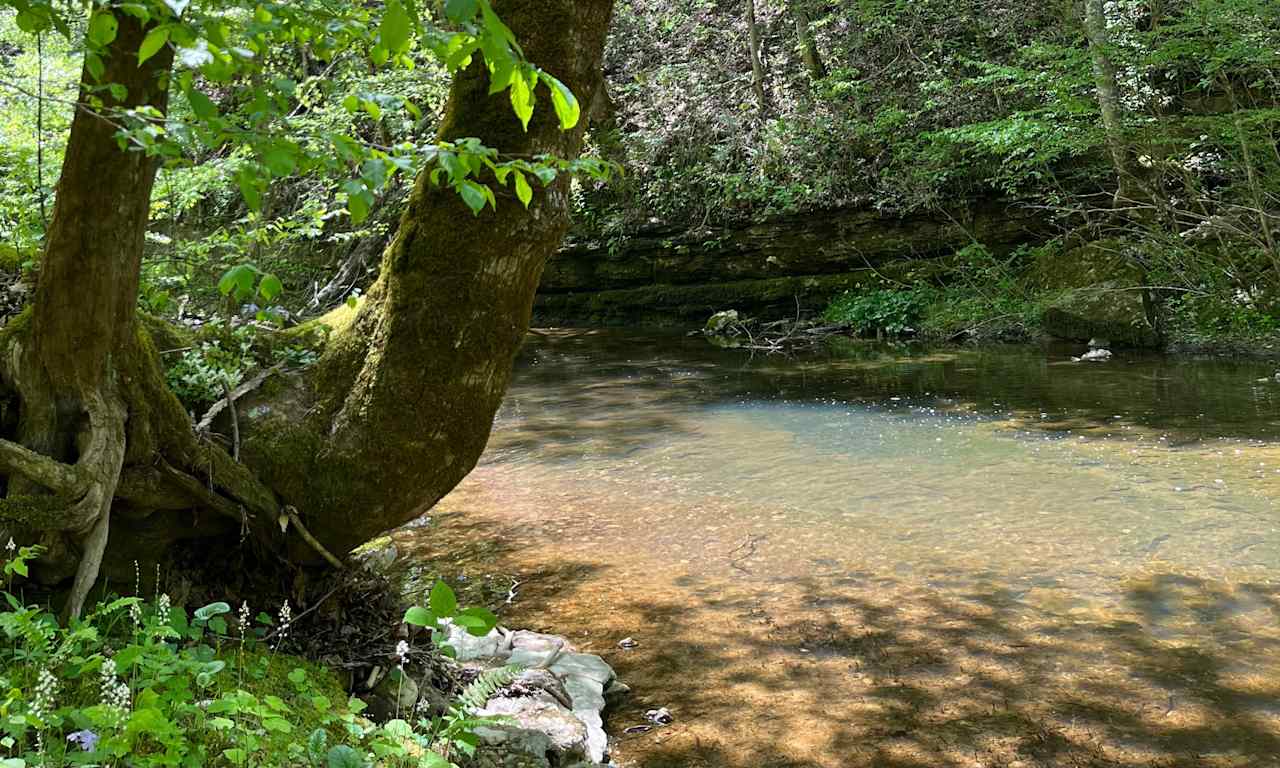 One of the two rivers on the property. This one flows alongside campsite 2 and campsite 4. All guests have hiking access to enjoy the rivers!