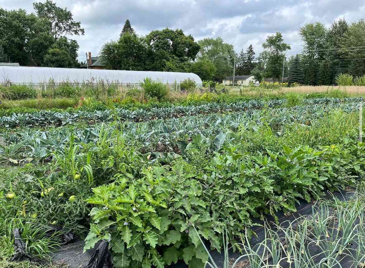 Vole Patrol Farm