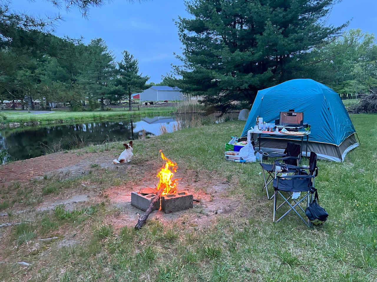 Our pond set up. Tons more space on the back side. Wonderful stay!