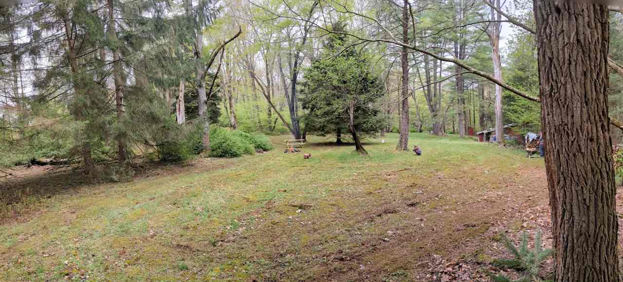 Panoramic view of campsite from edge of property