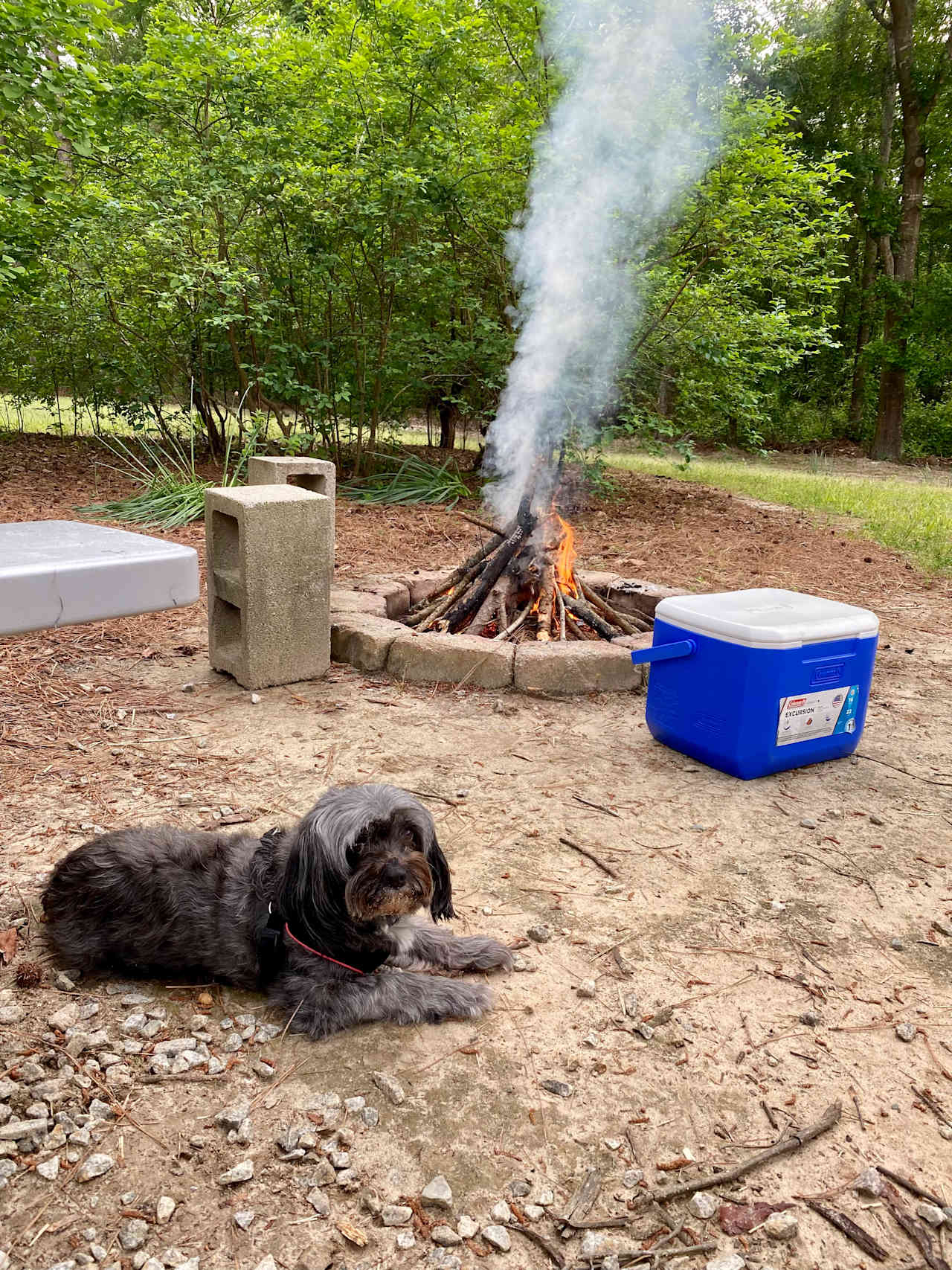 Cedar Creek Campground at Elease