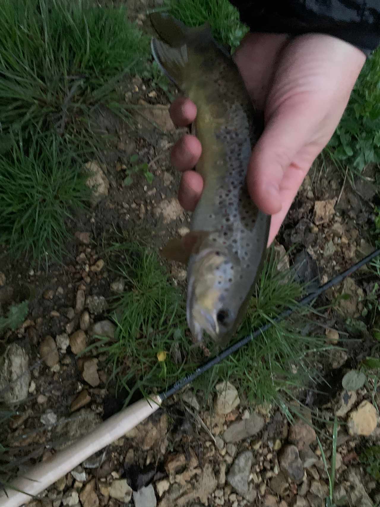 New Hartford trout camp