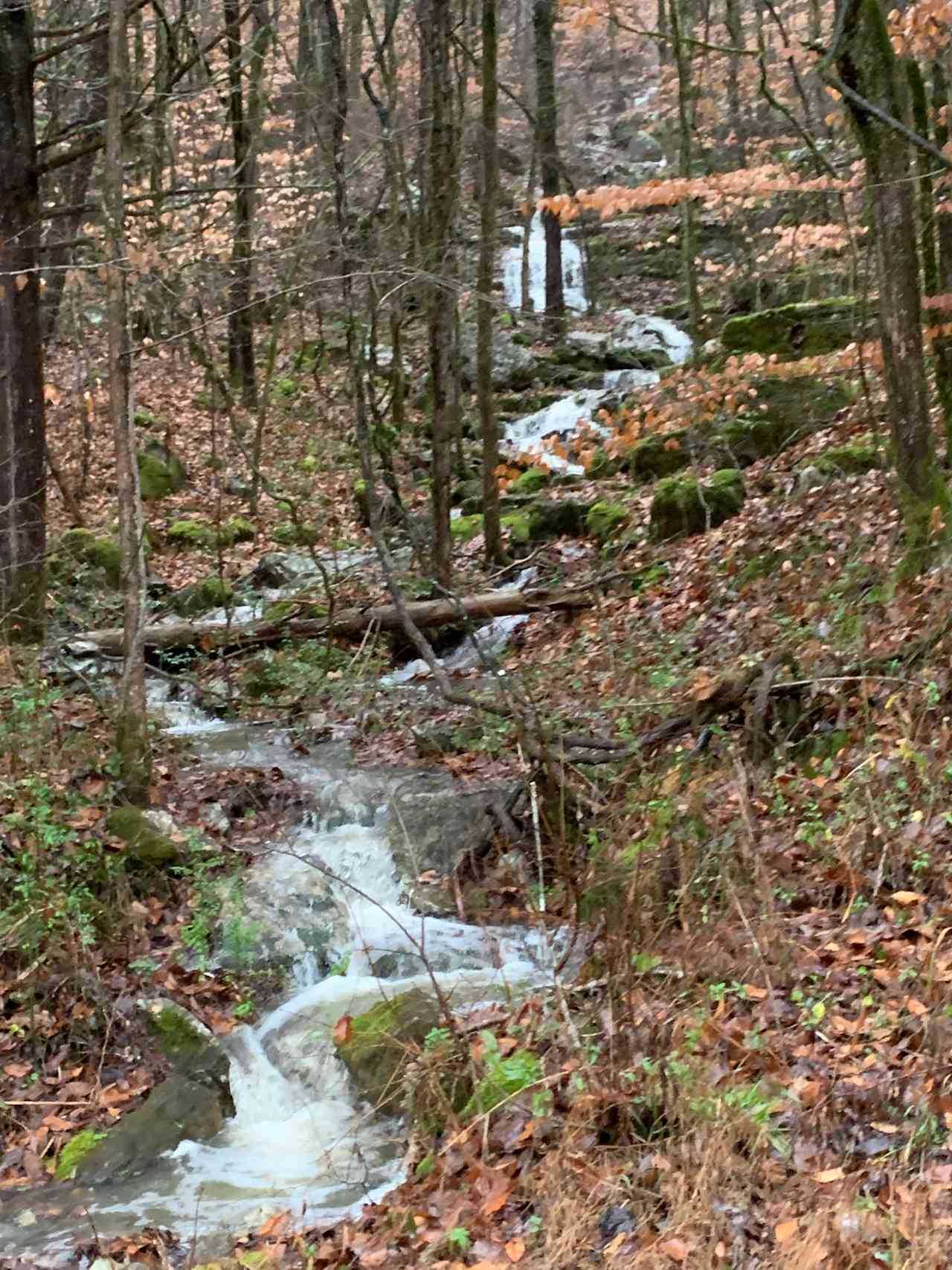 Seasonal waterfalls on Fiery Gizzard Road 