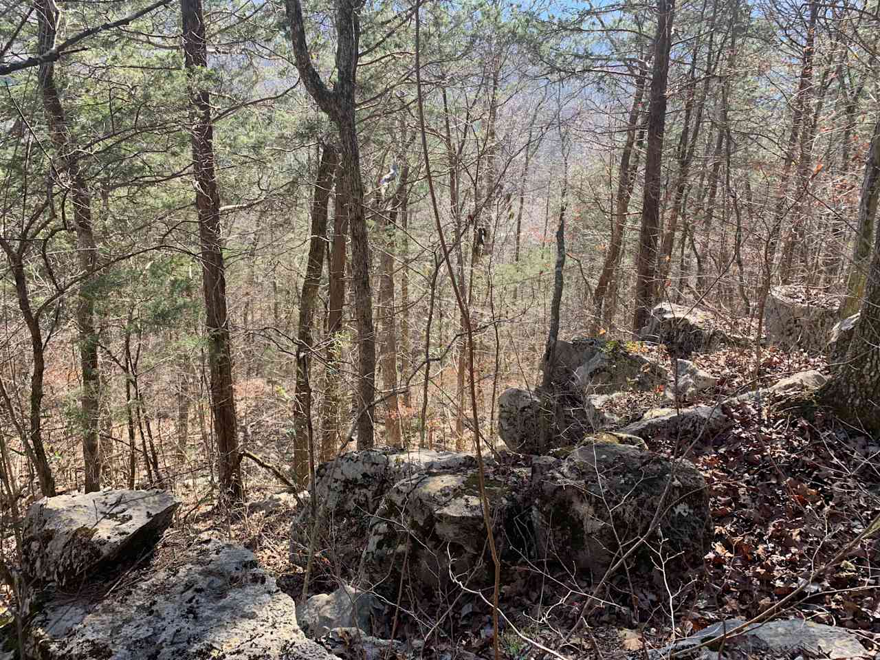 View from the top of the ridge on the property 