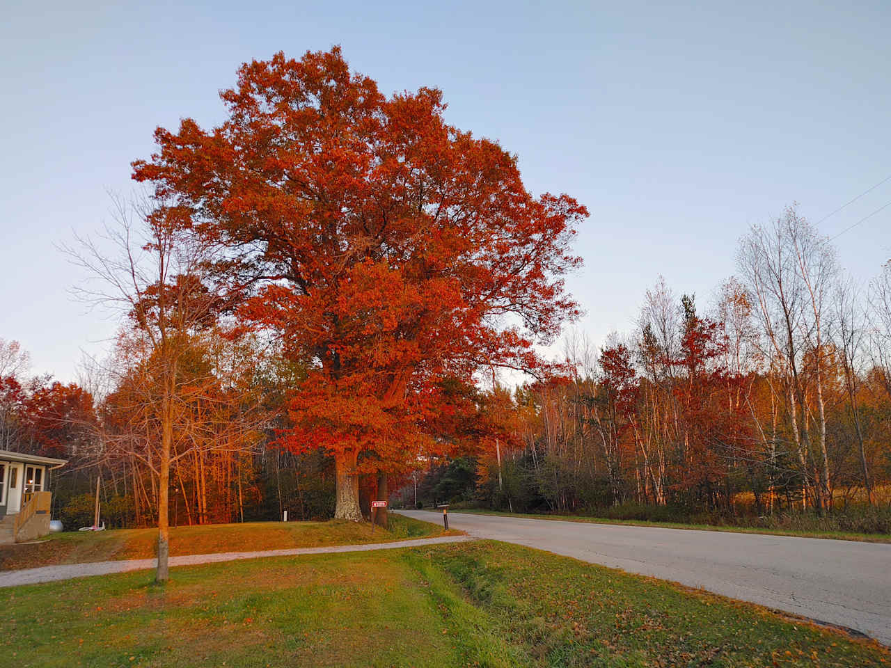 Blazing Bear Homestead