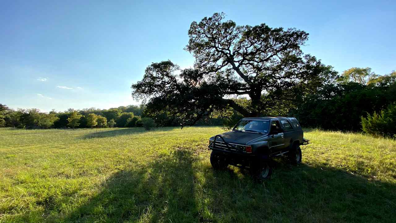 The Meadow