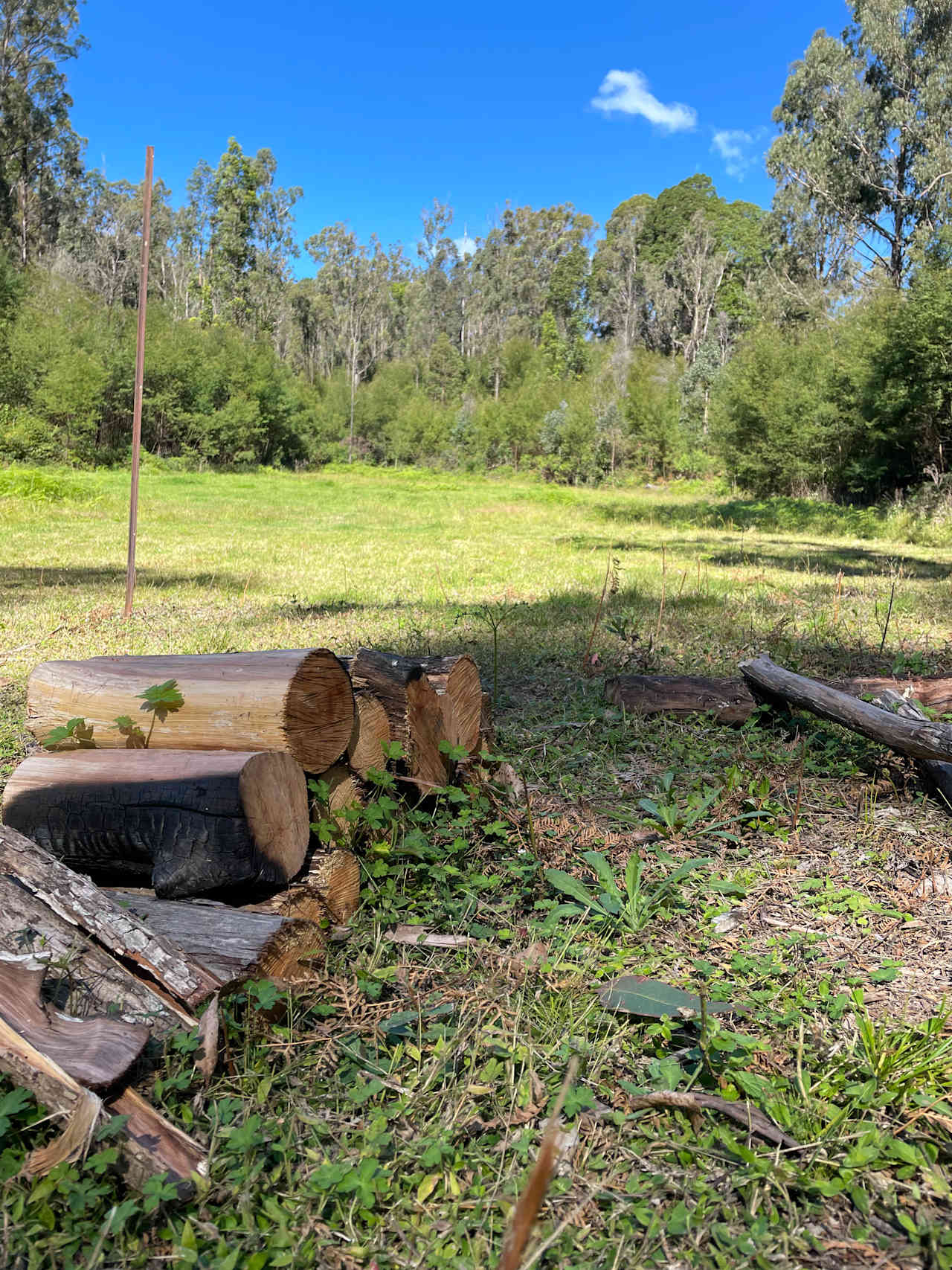 Bandicoot Bend
