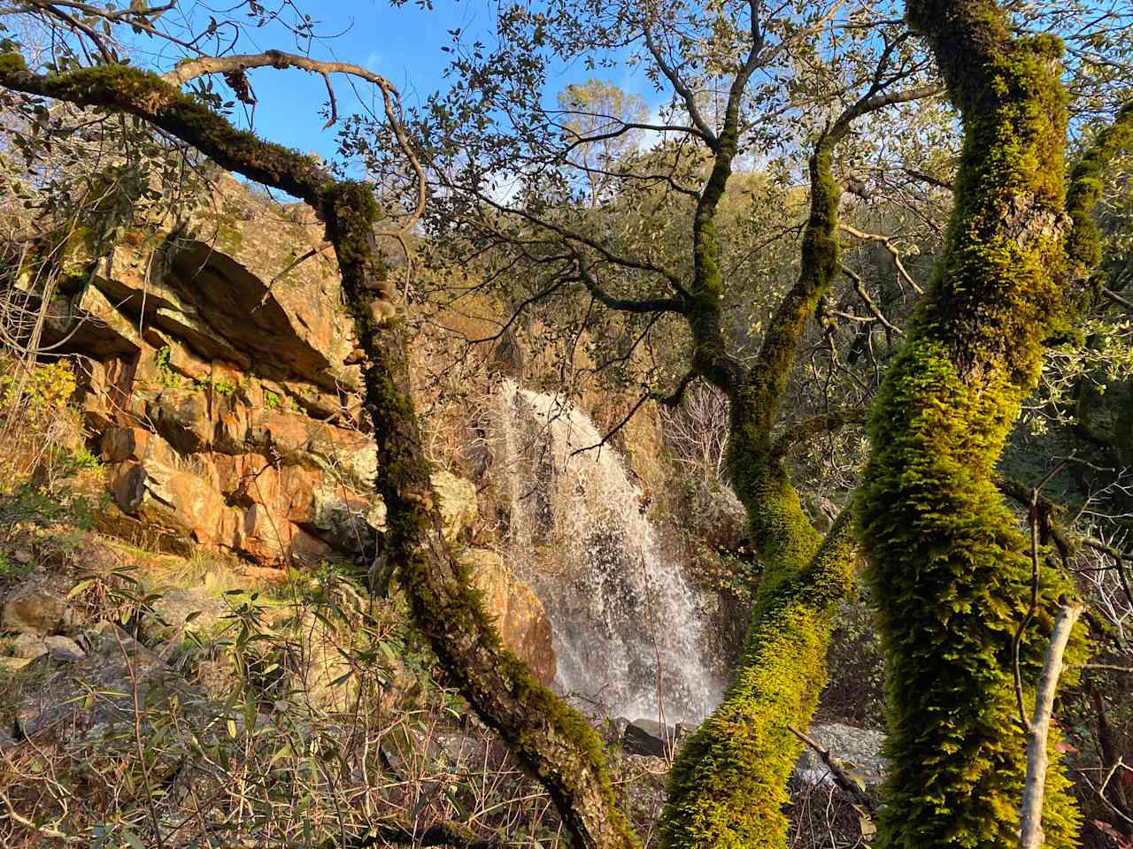 Sunny Falls - easily a 25 ft. waterfall in full view from the platform!