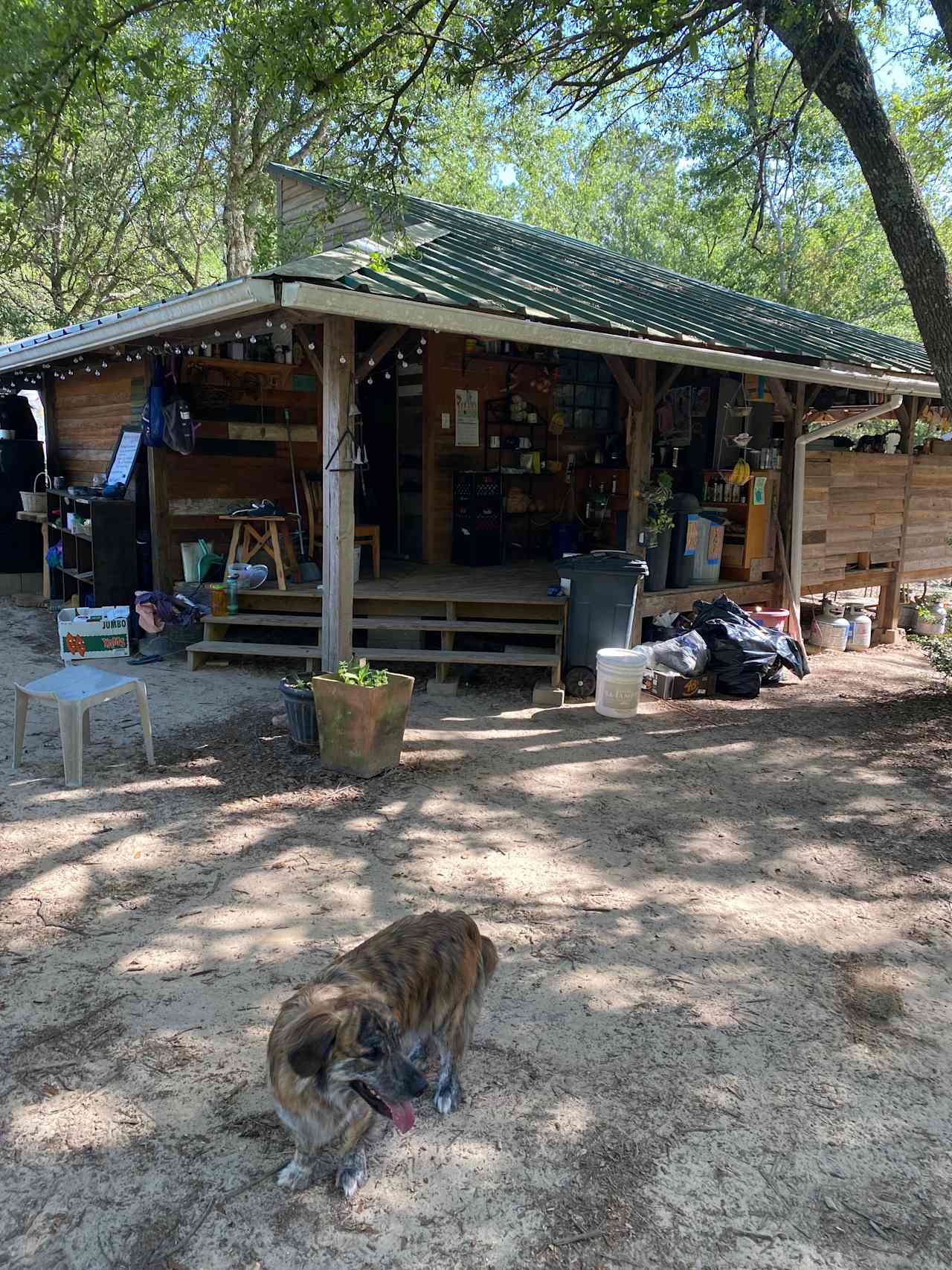 Communal Kitchen