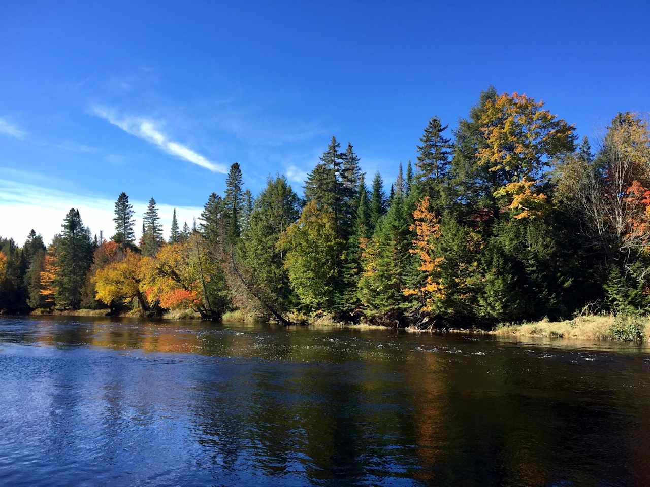 Cabin Tripping at Forkstown Farm