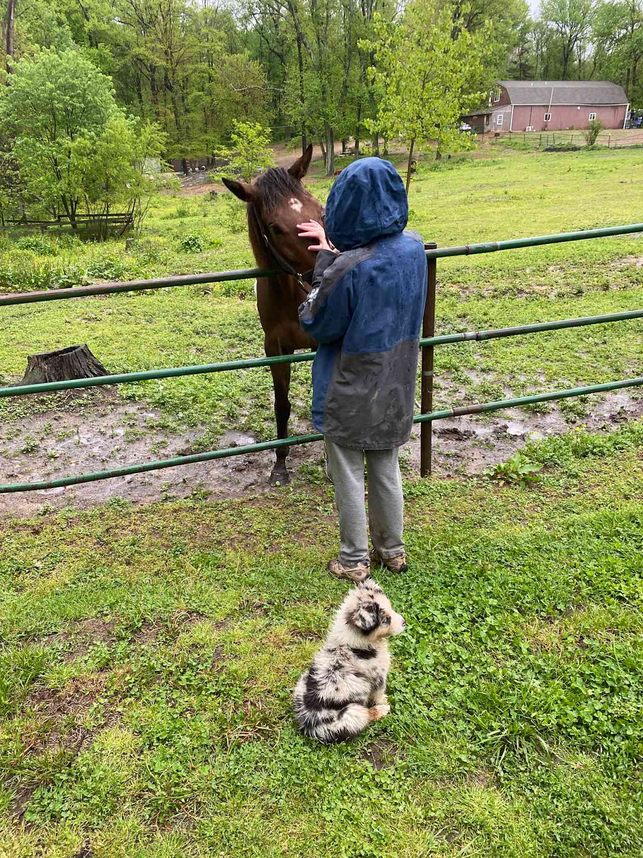 Horse Farm Camping