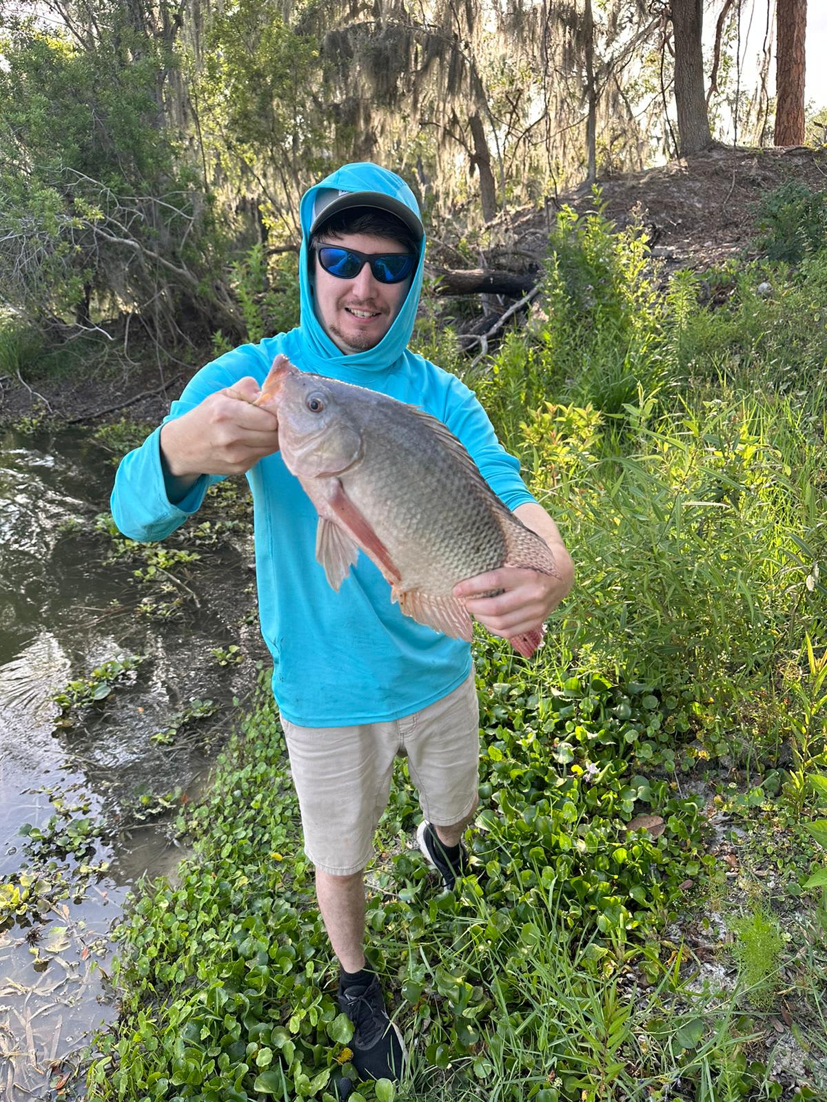 Caught a nice 3 pound Tilapia