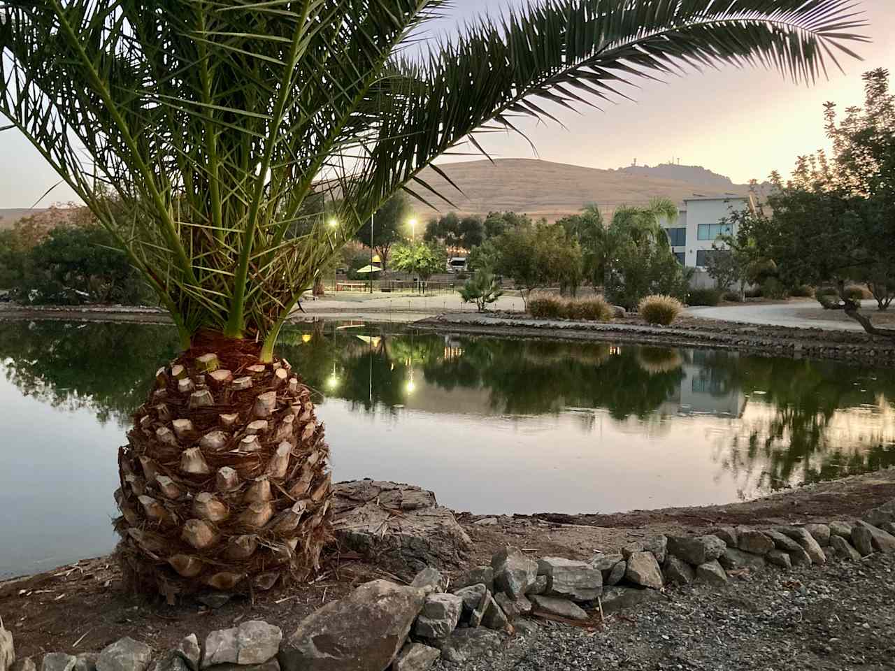 Lucky Dog Ranch with Pickleball