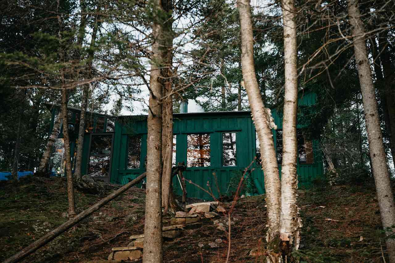 cutest cabin blending into the woods