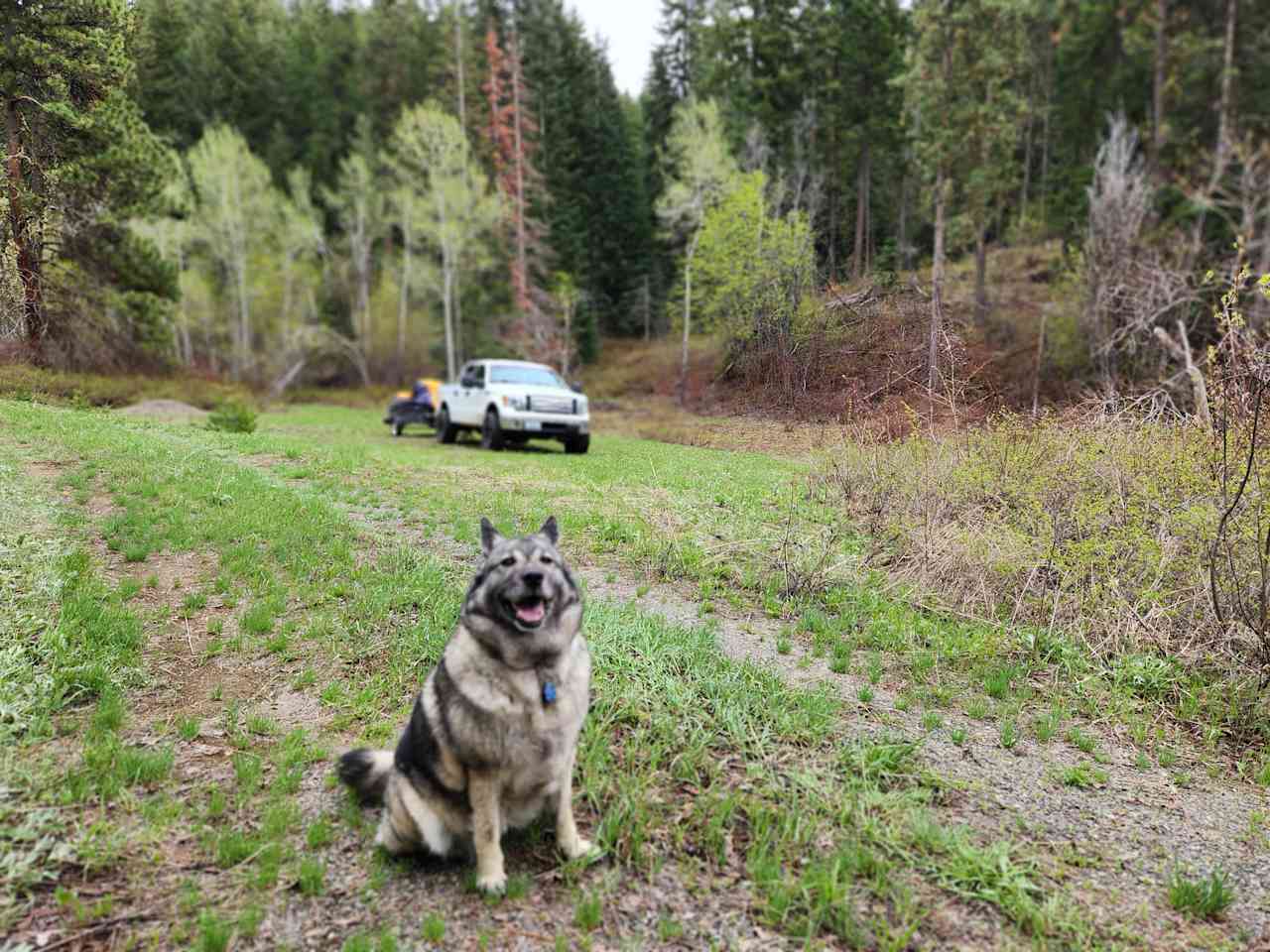 The truck is parked in the campsite 1 location with the main entrance gate behind us. This photo taken prior to the wellhouse and outhouse installation. The outhouse is now located hehind the truck, and the wellhouse between Ellie the Elkhound and the truck off to the right. 