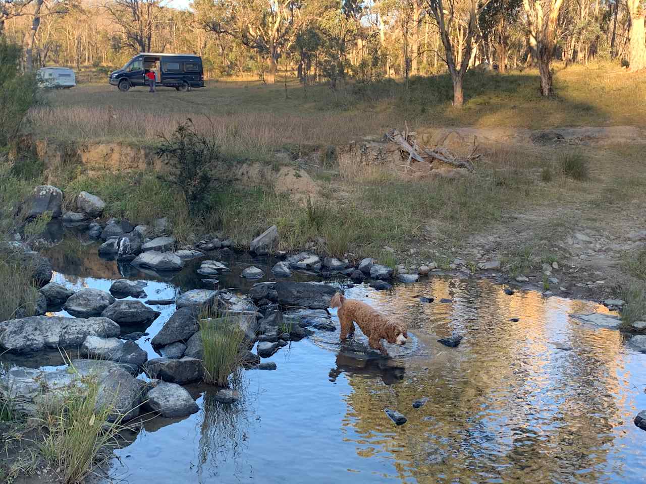 View from nearby creek