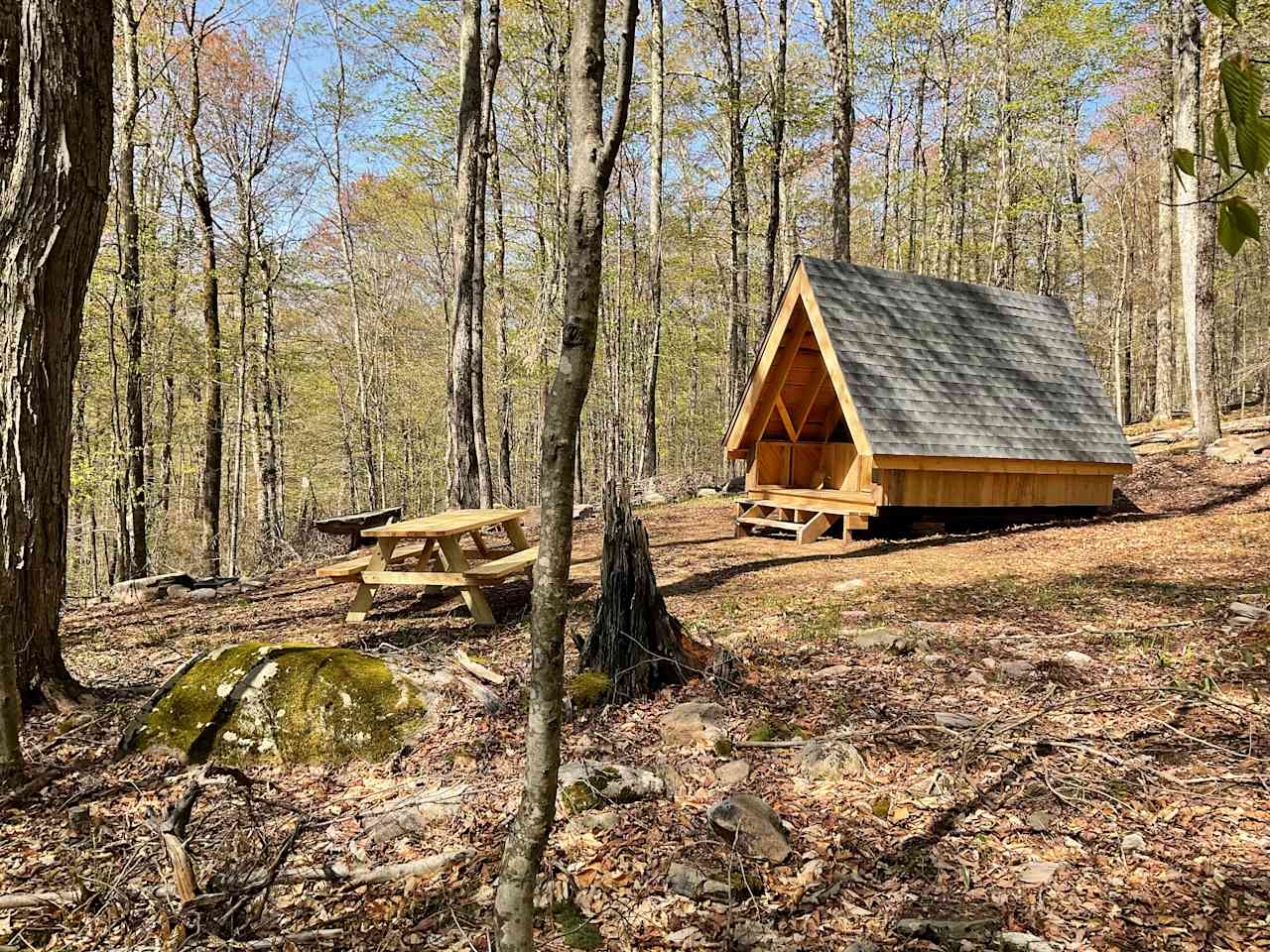 Burr Oaks Forest secluded campsites