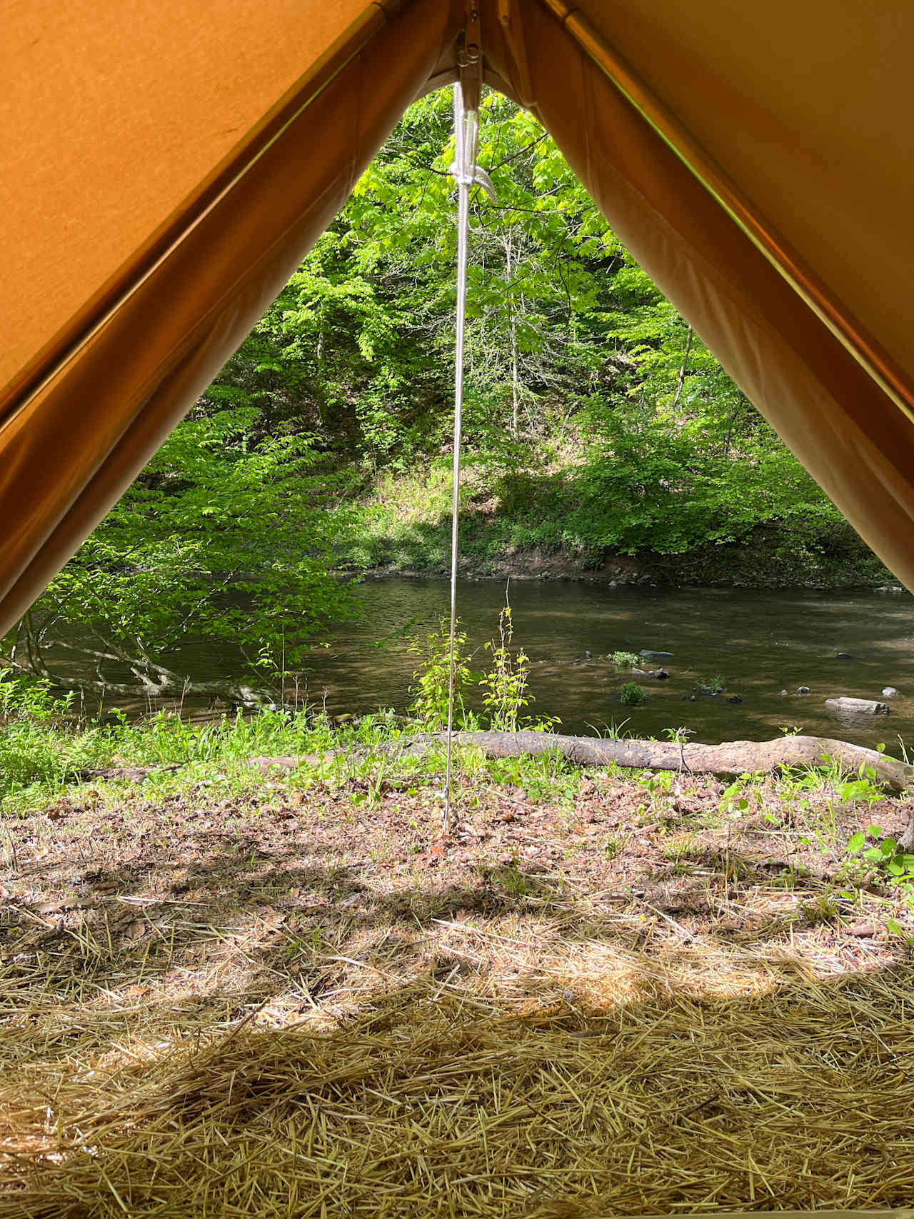 Epic Creekside Tent Sites & Cabins