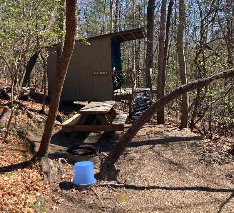 Ash Grove Cabins and Camping