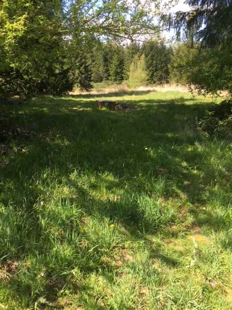 Salmon Berry Meadows