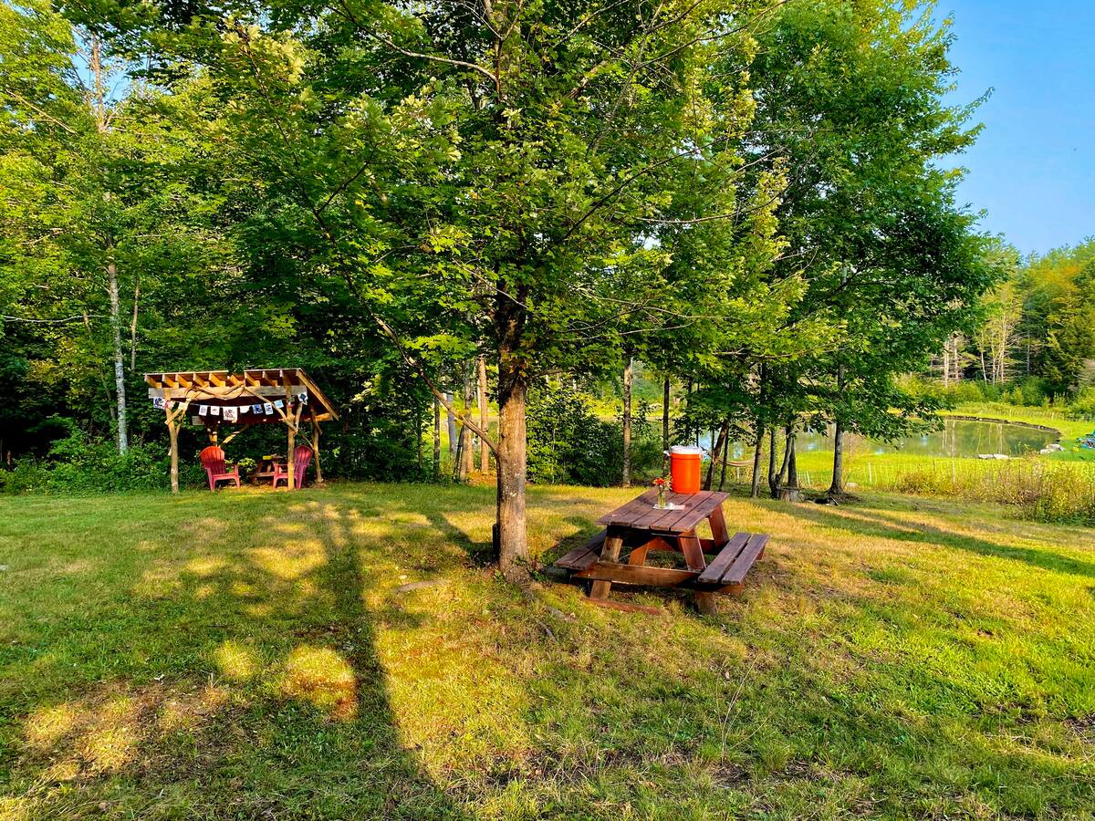 Our campsite: lean-to, picnic table, two camping Adirondack chairs, two fire pits, two hammocks, etc.  