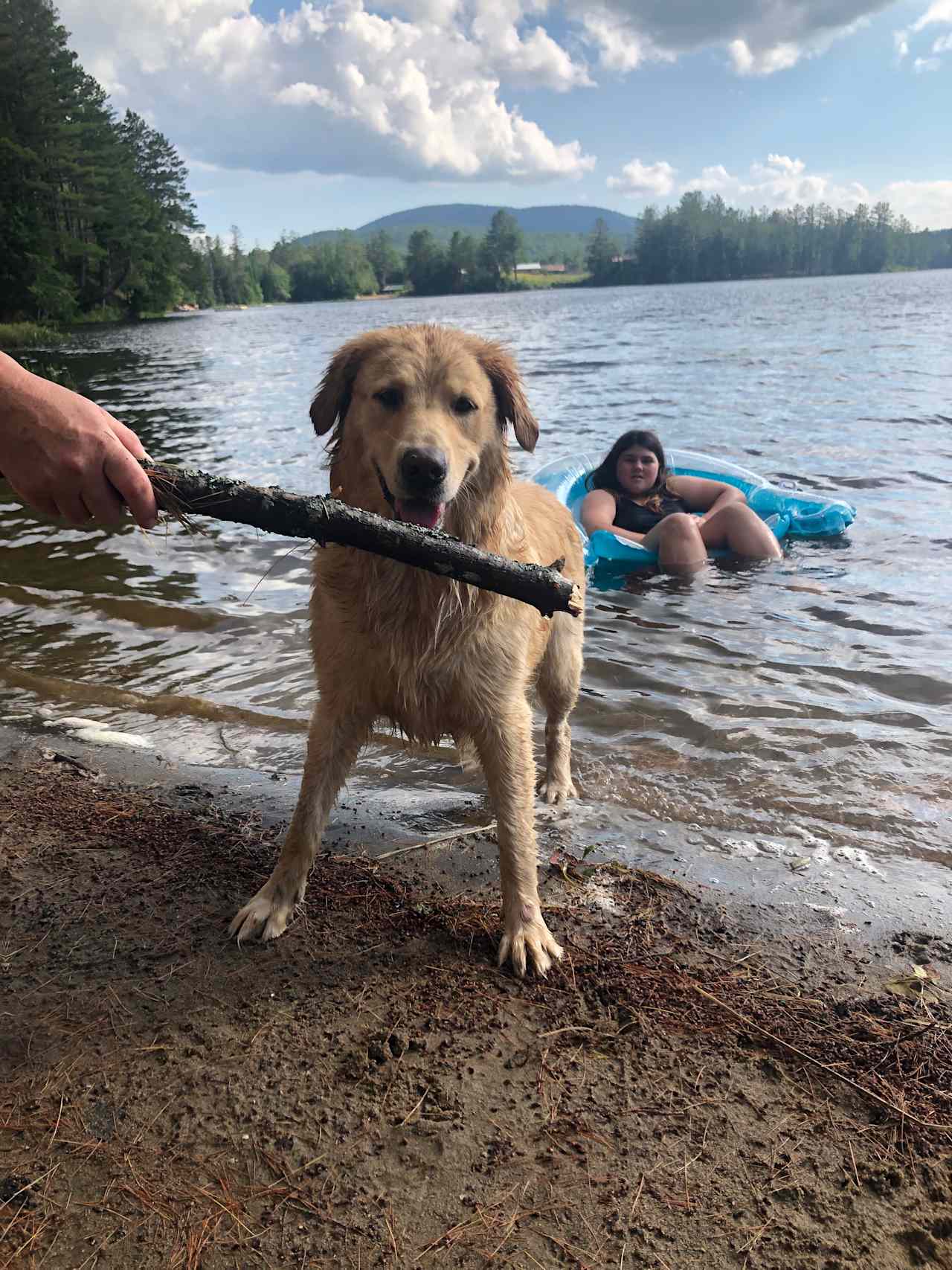 The Pines Lakeside Canoe & Camping