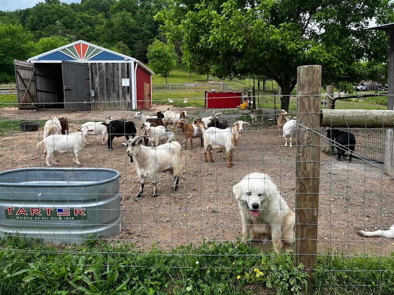 Piccolo Farms Paradise Valley