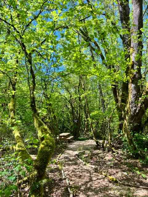 Cedar Groves Rural Campground