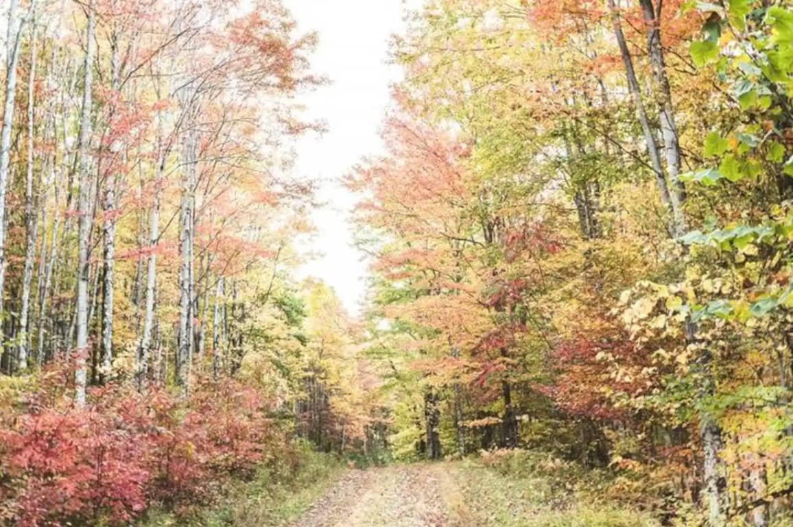 The Trails at Files Creek