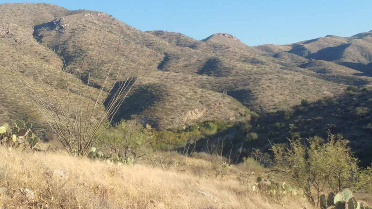 Buehman canyon