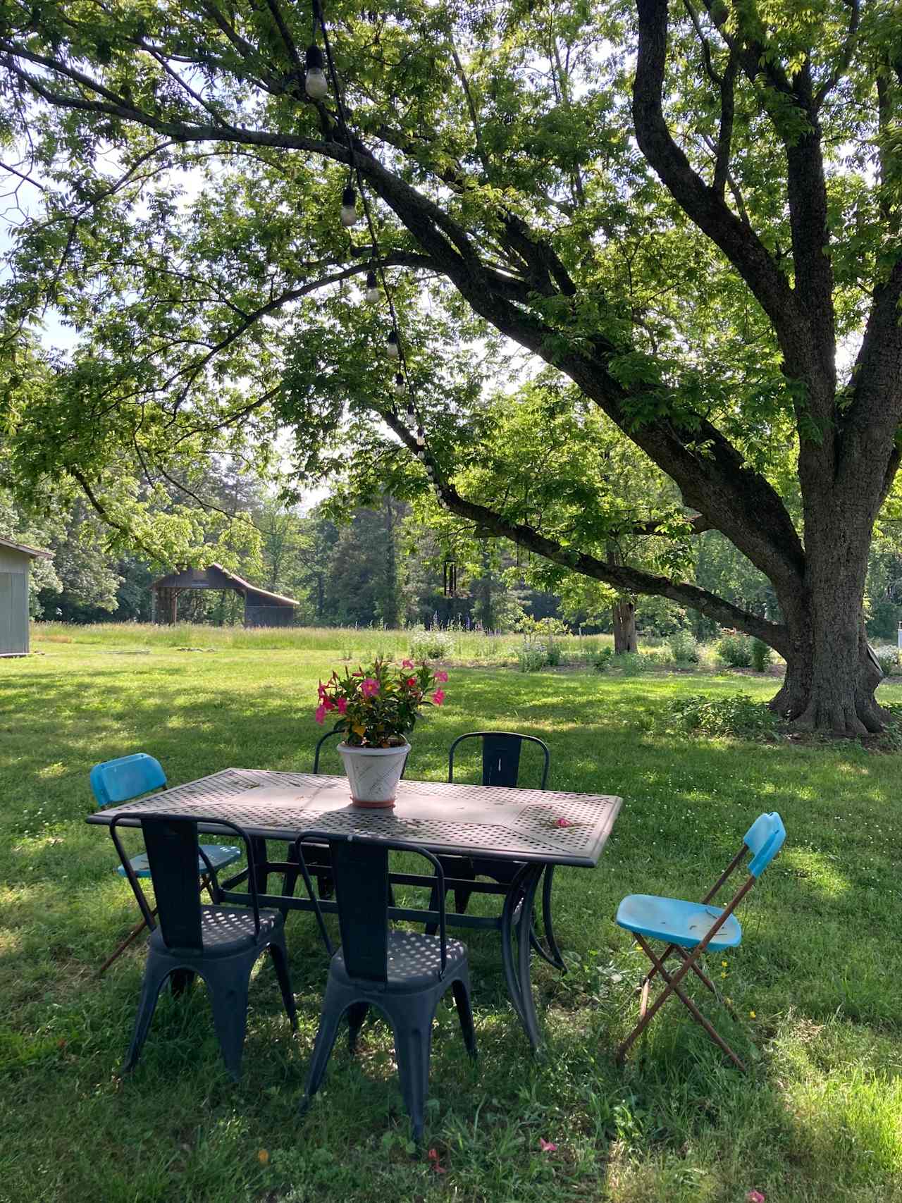 Table and chairs for guest use