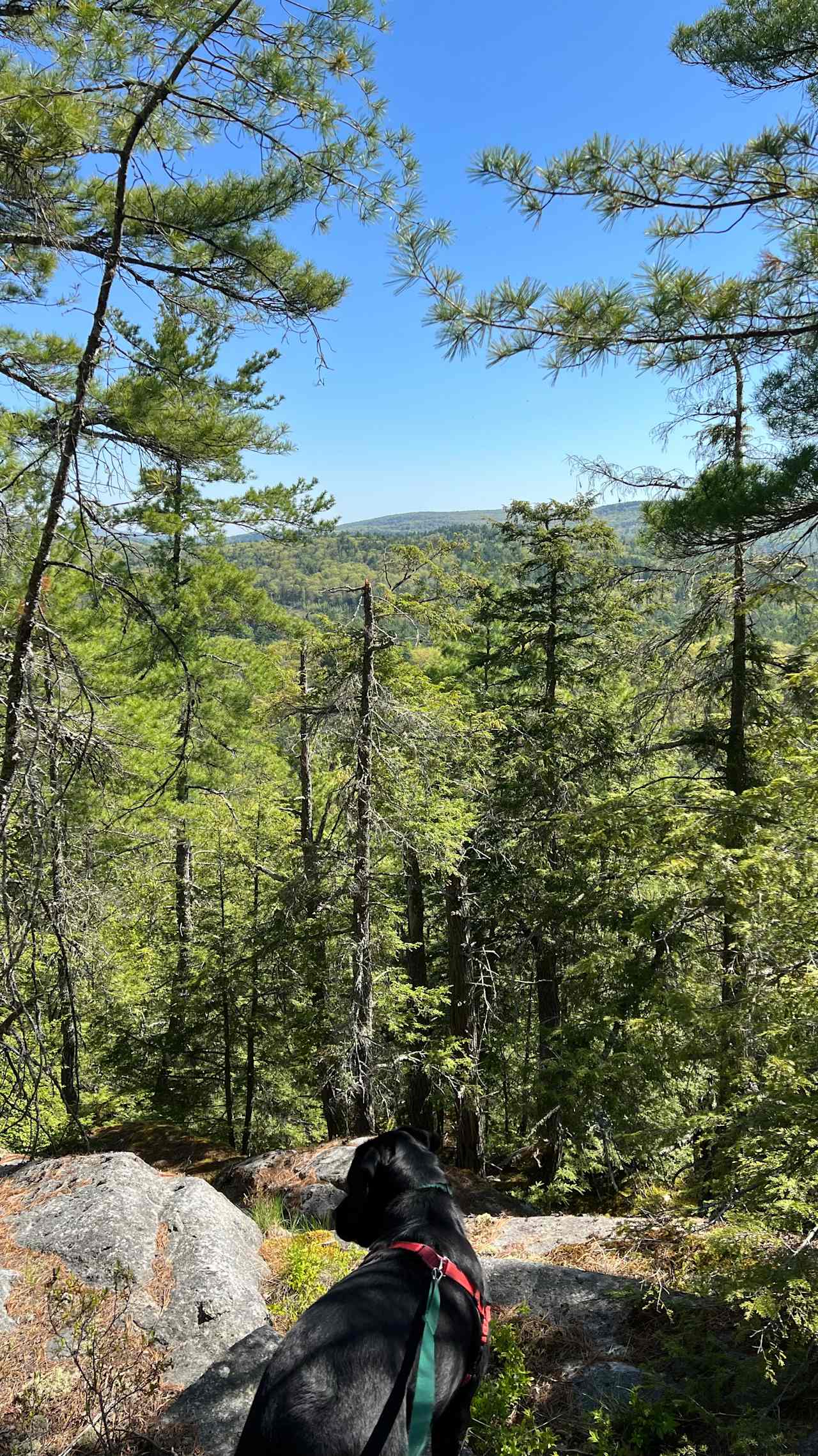 Private hiking trail - view at the top 