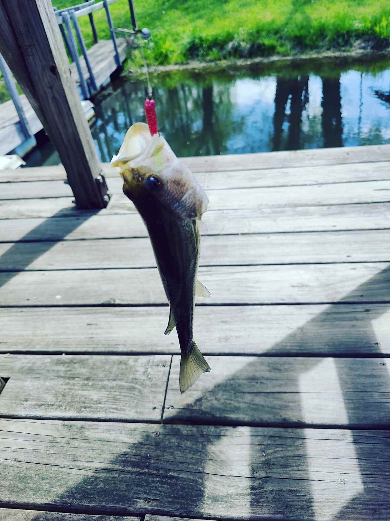 The dock was such a fun extra and the pond had plenty of variety