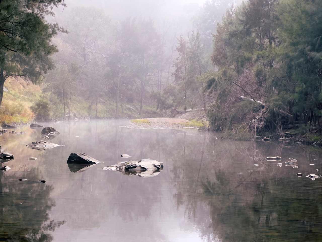 Nuggetty Creek, Crudine